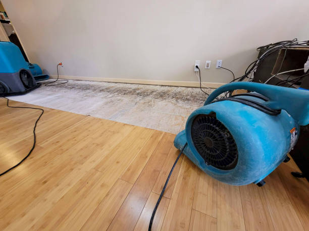 Professional Flood Damage Cleanup technician working in Hamilton, MO